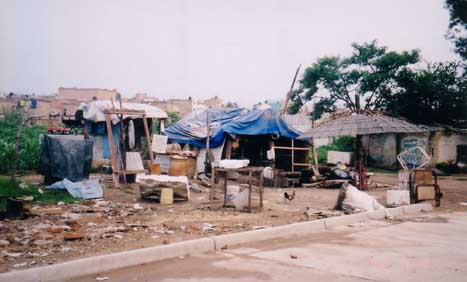2picture9.jpg